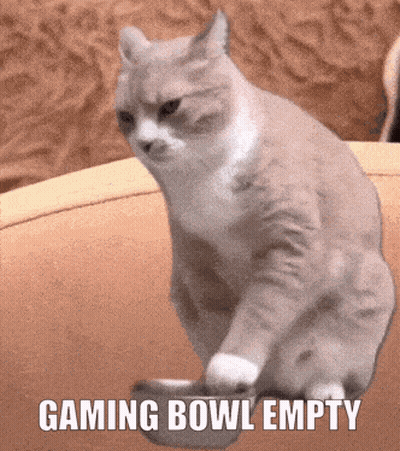 Cat Sitting On Couch With Empty Gaming Bowl GIF