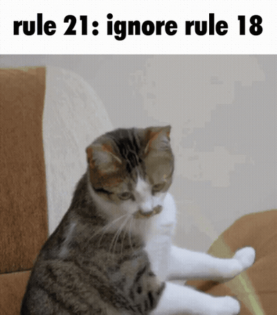 Cat Sitting On Couch With Rule 21 Ignore Rule 18 GIF