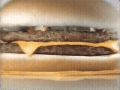 Cat Sitting On Hamburger GIF