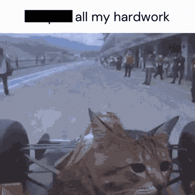 Cat Sitting On Lap Saying All My Hardwork GIF