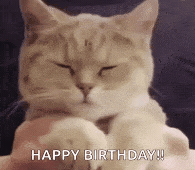 Cat Sitting On Lap Saying Happy Birthday GIF