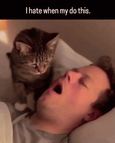 Cat Sitting On Man's Head I Hate When My Do This GIF