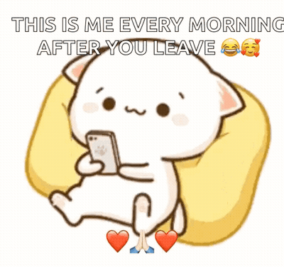Cat Sitting On Pillow Looking At Cell Phone GIF