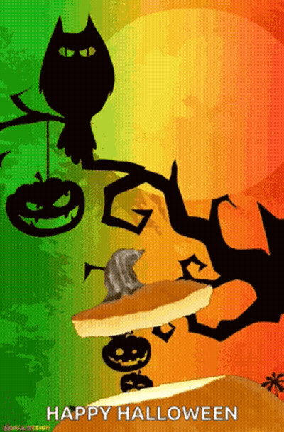 Cat Sitting On Pumpkin Pie Happy Halloween GIF