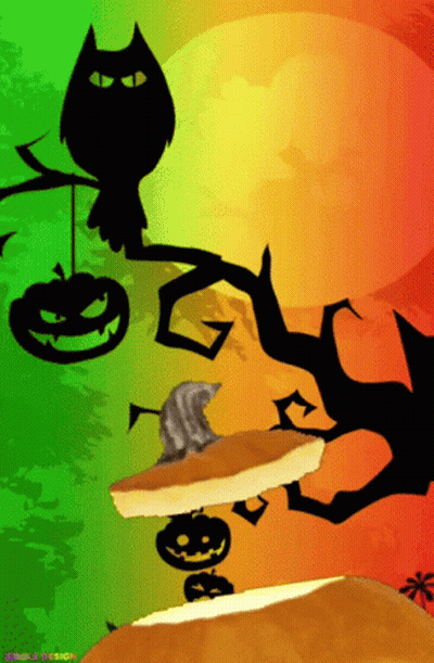 Cat Sitting On Pumpkin With Witch Hat GIF