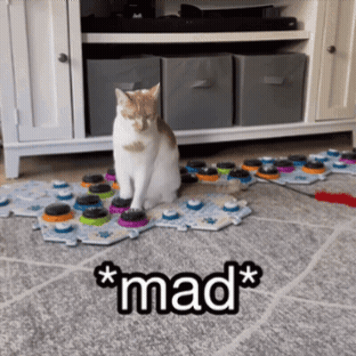 Cat Sitting On Puzzle Saying Mad GIF