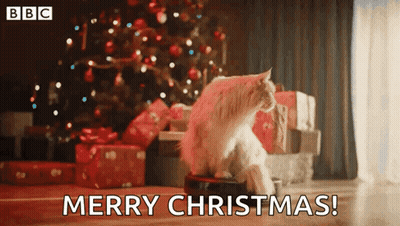 Cat Sitting on Remote Control by Christmas Tree