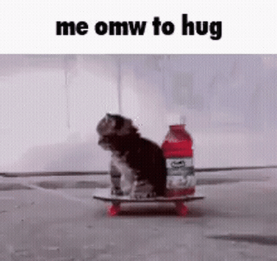 Cat Sitting On Skateboard Next To Juice GIF