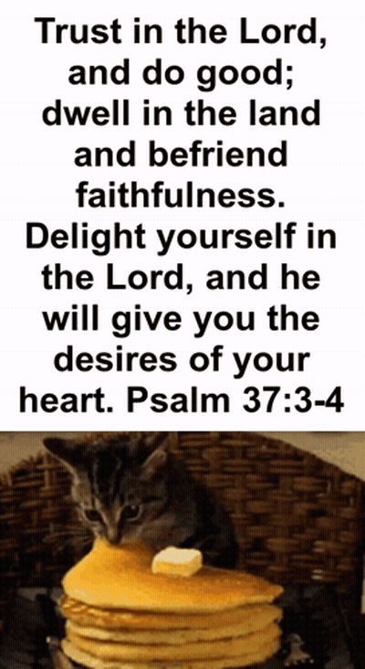 Cat Sitting On Stack Of Pancakes With Butter GIF