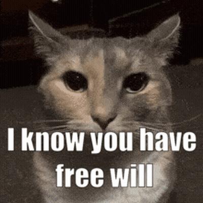 Cat Sitting on Table Saying I Know You Have Free Will