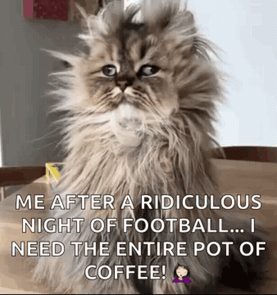 Cat Sitting On Table Saying Me After Ridiculous Night Of Football GIF