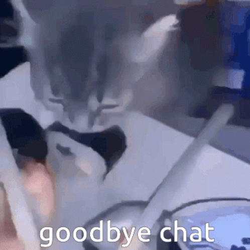 Cat Sitting On Table With Goodbye Chat GIF