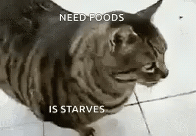 Cat Sitting On Tile Floor Saying Me When Pizza GIF