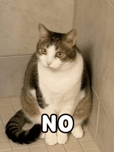 Cat Sitting On Tiled Floor Saying No GIF