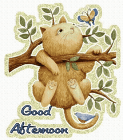 Cat Sitting On Tree Branch Saying Good Afternoon GIF