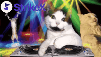 Cat Sitting On Turntable With Strikex GIF