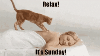 Cat Sitting On Woman Laying On Bed Relax It's Sunday GIF