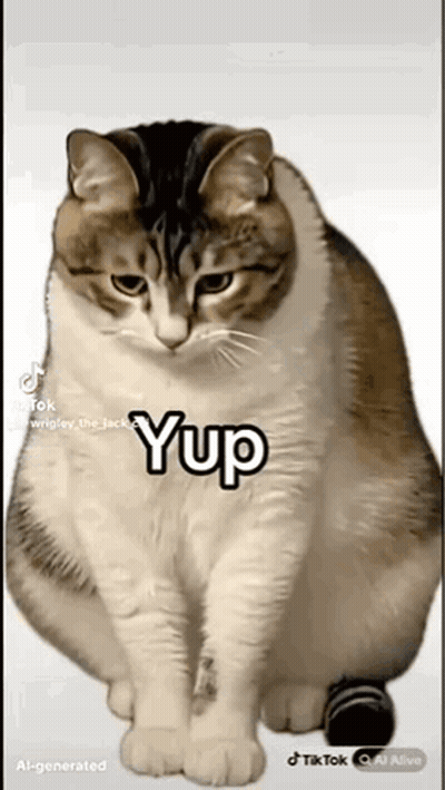 Cat Sitting With Yup On Paw GIF