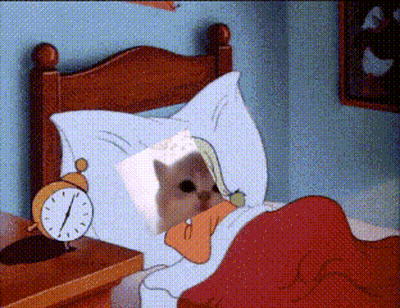 Cat Sleeping In Bed With Alarm Clock GIF