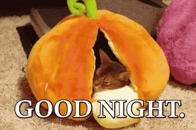 Cat Sleeping In Stuffed Pumpkin Saying Good Night GIF
