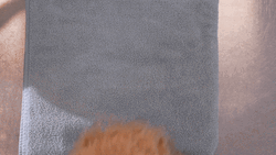 Cat Sleeping Night Night GIF