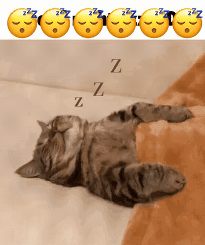 Cat Sleeping On Couch Next To ZZZ Emojis GIF