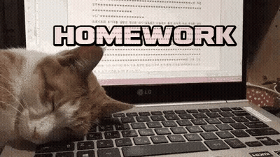 Cat Sleeping On LG Laptop Saying Homework GIF
