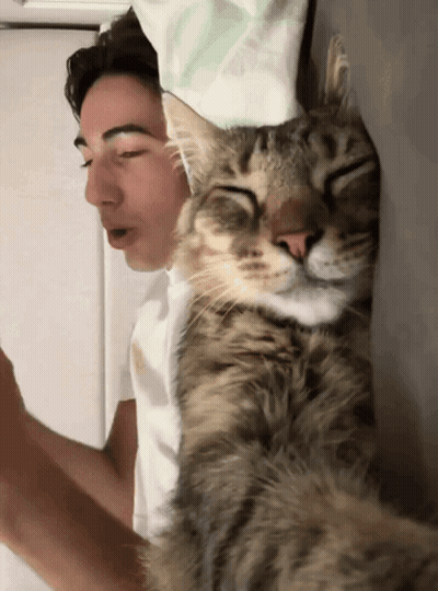 Cat Sleeping On Man's Shoulder GIF