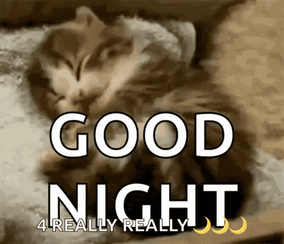 Cat Sleeping On Pillow Good Night 4 Really Really GIF