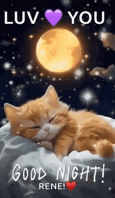 Gato durmiendo en almohada frente a luna llena GIF