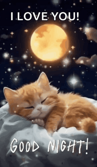 Cat Sleeping On Pillow With Moon GIF