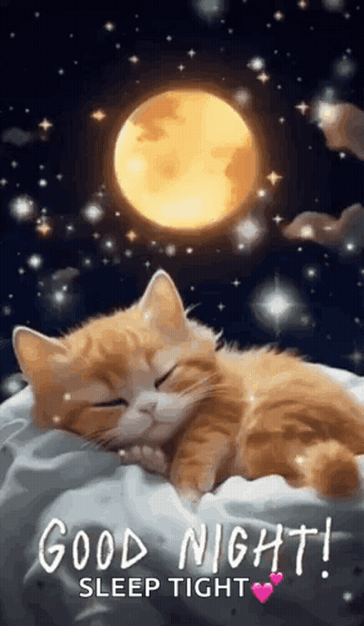 Cat Sleeping On Pillow With Moon GIF