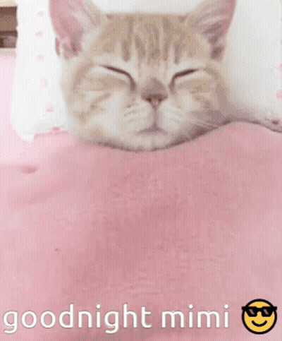Cat Sleeping On Pink Blanket Goodnight Mimi GIF