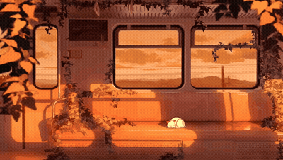 Cat Sleeping On Train With Sunset GIF