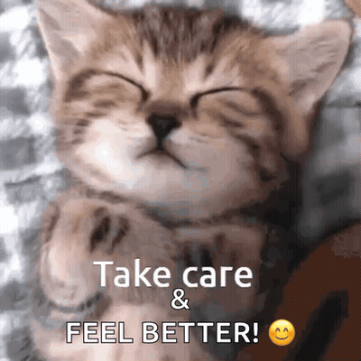 Cat Sleeping With Feel Better Text GIF