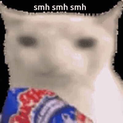 Cat Smh Smh Smh GIF