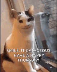 Cat Smiling Happy Thursday Funny GIF