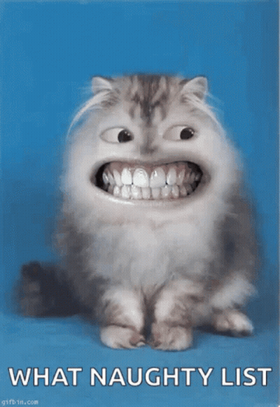 Cat Smiling Saying What Naughty List GIF