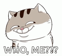 Cat Smiling Who Me GIF