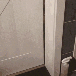 Cat Sneaking To Open Door GIF