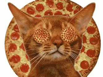 Cat Spinning Pizza Eyes GIF