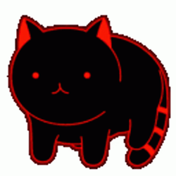 Cat Spinning Rainbow Colors GIF