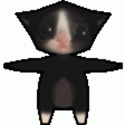 Cat Spinning Standing Hands Spread GIF