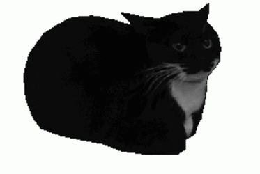 Cat Spinning With A Blank Face GIF