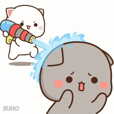 Cat Spraying Water On Another Cat GIF