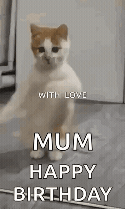 Cat Standing And Waving Paws GIF