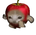 Cat Standing Before Red Apple Sticker