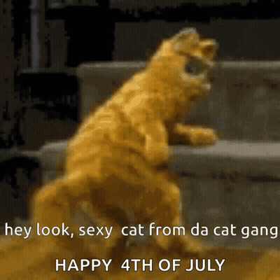 Cat Standing Hey Look Sexy Cat From Da Cat Gang GIF