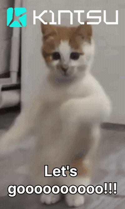 Cat Standing Hind Legs Let's Gooooo GIF