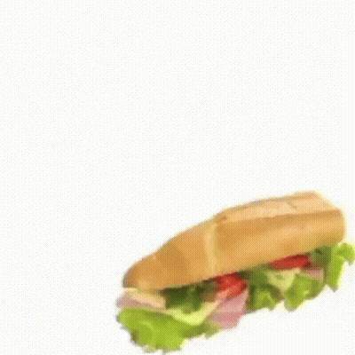 Cat Standing Holding Sub Sandwich GIF